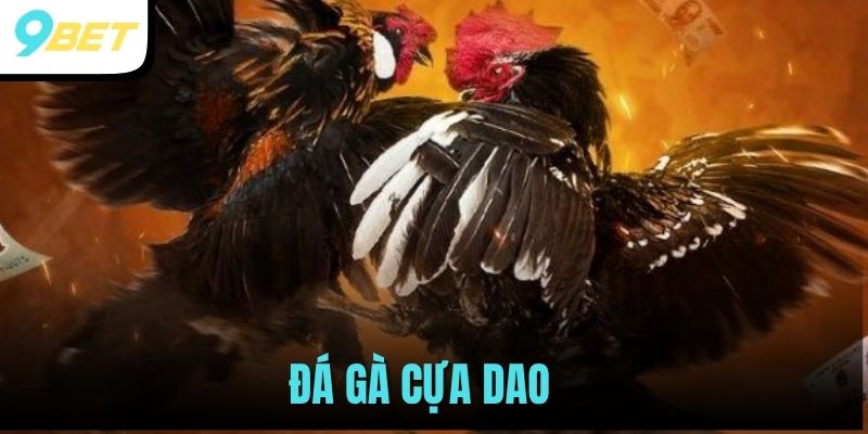 Đá Gà Cựa Dao - Theo Dõi Các Trận Đấu Hot Nhất Tại 9BET 2 đá gà cựa dao