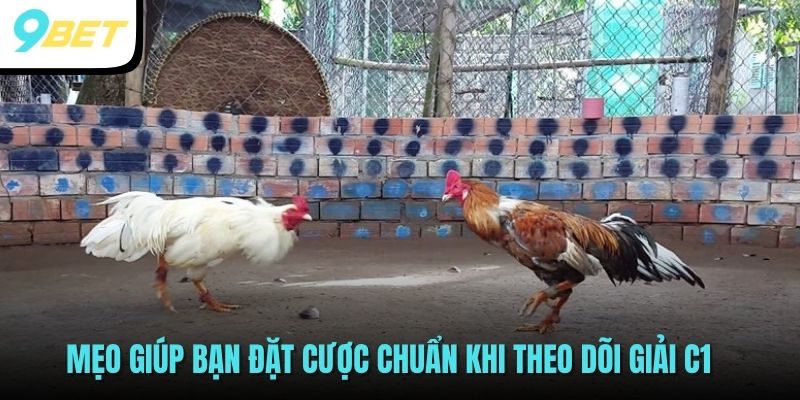 Mẹo giúp bạn đặt cược chuẩn khi theo dõi giải C1